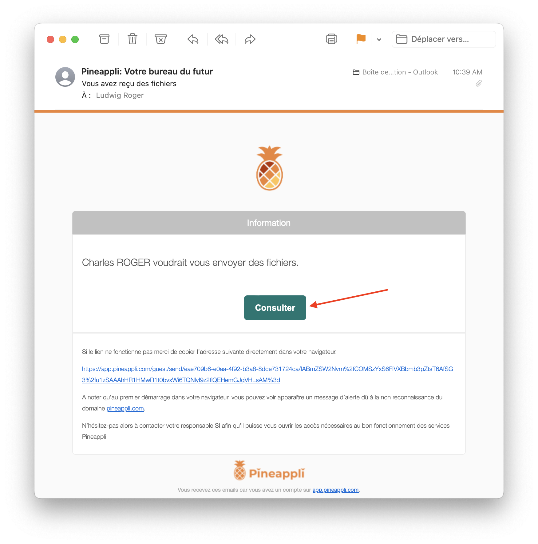 Vue de l’Email Destinataire